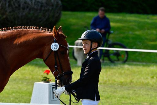 Goldene Schärpe Ponys in Hohen Luckow 1-4.6.23 | 04062023 -  Vormustern _276 