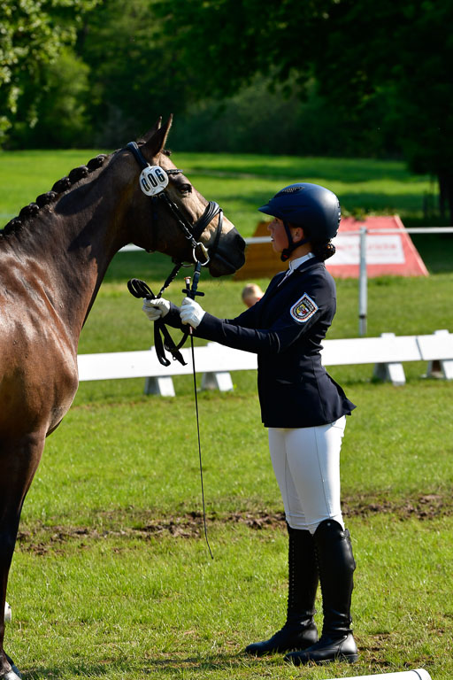 Goldene Schärpe Ponys in Hohen Luckow 1-4.6.23 | 04062023 -  Vormustern _277 