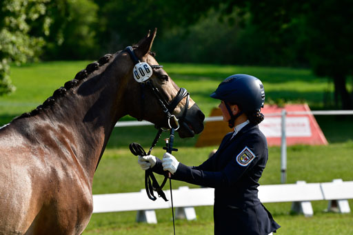 Goldene Schärpe Ponys in Hohen Luckow 1-4.6.23 | 04062023 -  Vormustern _278 