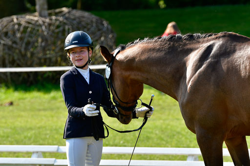 Goldene Schärpe Ponys in Hohen Luckow 1-4.6.23 | 04062023 -  Vormustern _279 