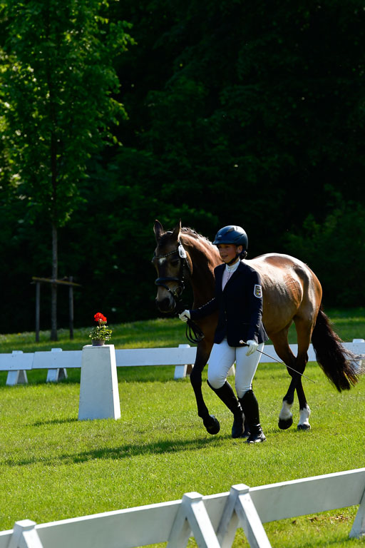 Goldene Schärpe Ponys in Hohen Luckow 1-4.6.23 | 04062023 -  Vormustern _280 