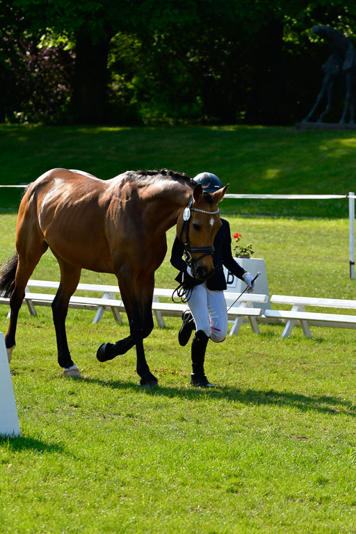 Goldene Schärpe Ponys in Hohen Luckow 1-4.6.23 | 04062023 -  Vormustern _281 
