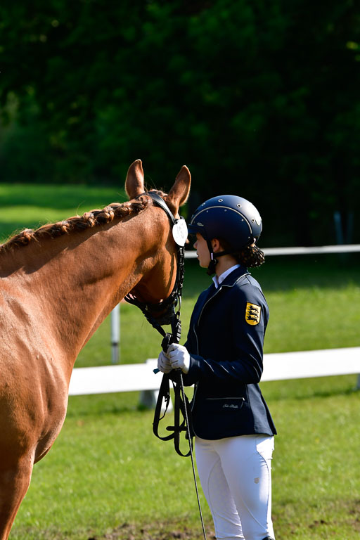 Goldene Schärpe Ponys in Hohen Luckow 1-4.6.23 | 04062023 -  Vormustern _282 