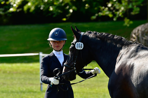Goldene Schärpe Ponys in Hohen Luckow 1-4.6.23 | 04062023 -  Vormustern _284 