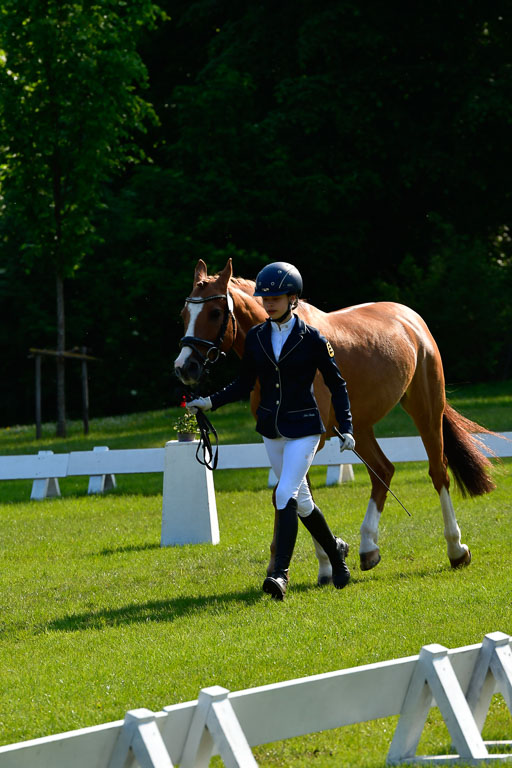 Goldene Schärpe Ponys in Hohen Luckow 1-4.6.23 | 04062023 -  Vormustern _285 