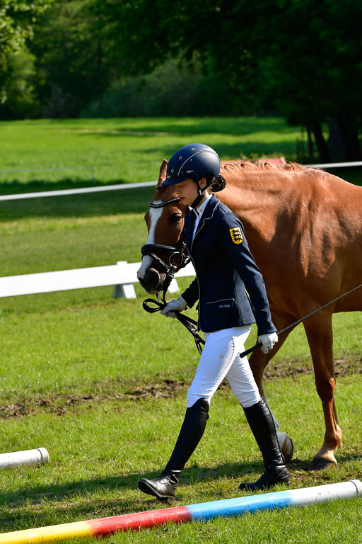 Goldene Schärpe Ponys in Hohen Luckow 1-4.6.23 | 04062023 -  Vormustern _286 