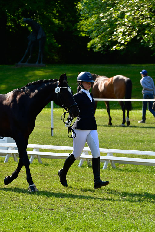 Goldene Schärpe Ponys in Hohen Luckow 1-4.6.23 | 04062023 -  Vormustern _287 