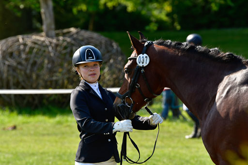 Goldene Schärpe Ponys in Hohen Luckow 1-4.6.23 | 04062023 -  Vormustern _290 
