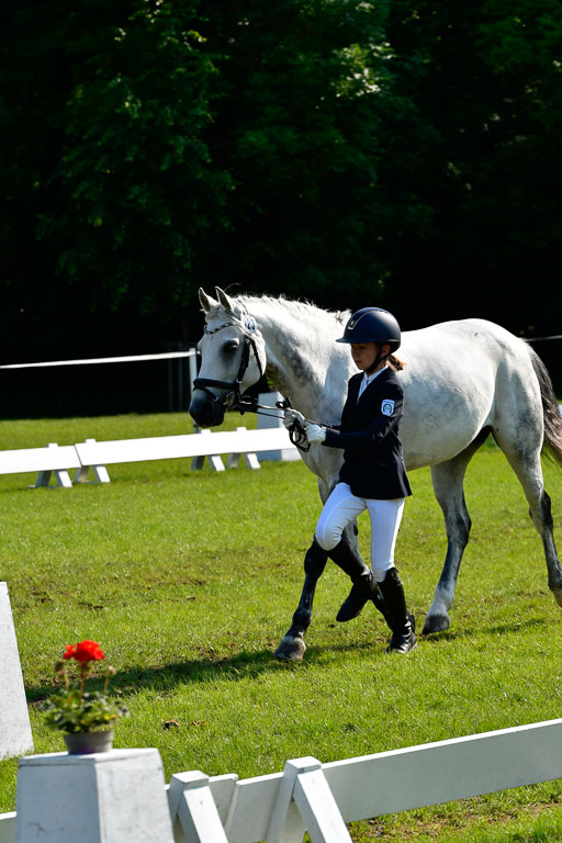 Goldene Schärpe Ponys in Hohen Luckow 1-4.6.23 | 04062023 -  Vormustern _291 