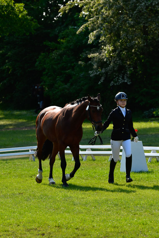 Goldene Schärpe Ponys in Hohen Luckow 1-4.6.23 | 04062023 -  Vormustern _292 