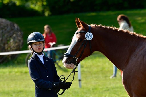 Goldene Schärpe Ponys in Hohen Luckow 1-4.6.23 | 04062023 -  Vormustern _295 