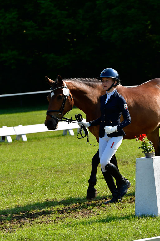 Goldene Schärpe Ponys in Hohen Luckow 1-4.6.23 | 04062023 -  Vormustern _297 