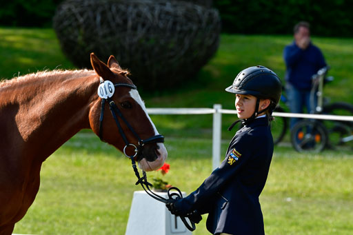 Goldene Schärpe Ponys in Hohen Luckow 1-4.6.23 | 04062023 -  Vormustern _300 