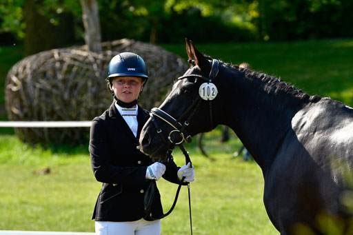 Goldene Schärpe Ponys in Hohen Luckow 1-4.6.23 | 04062023 -  Vormustern _301 