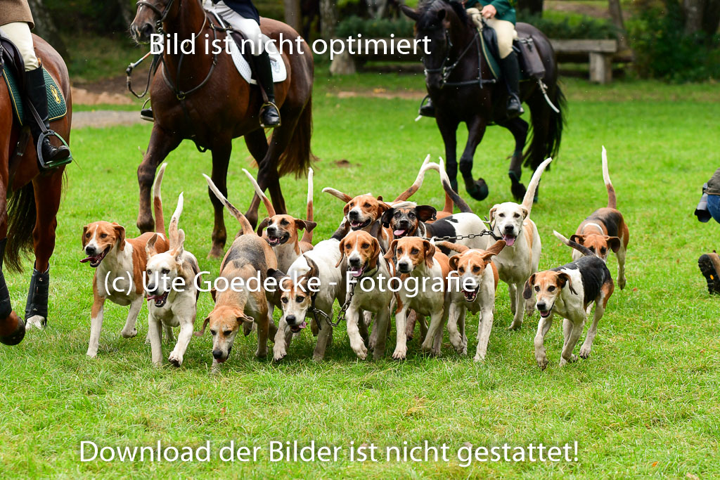 Jagd Mechtersen 01.10.2023 | 01102023 Jagd Mechtersen _025