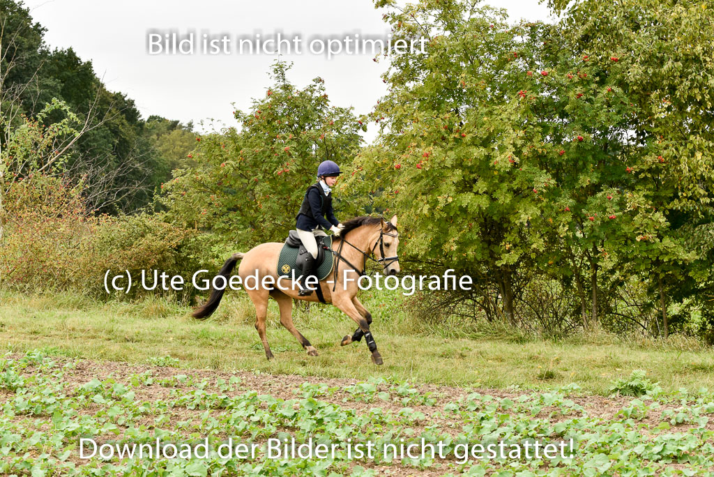 Jagd Mechtersen 01.10.2023 | 01102023 Jagd Mechtersen _059
