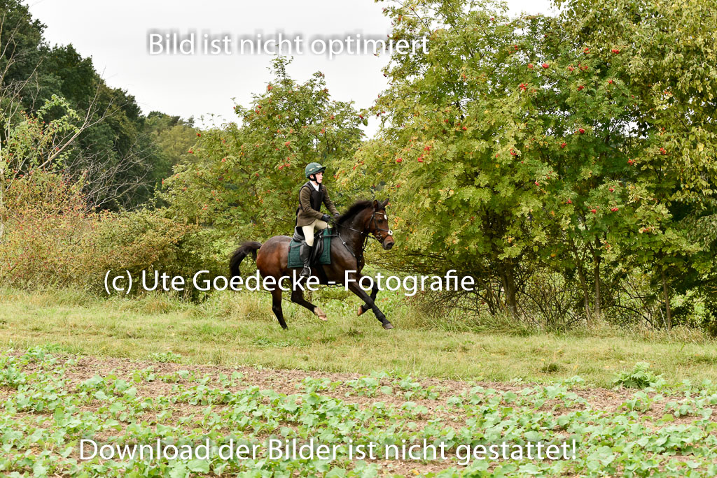 Jagd Mechtersen 01.10.2023 | 01102023 Jagd Mechtersen _060