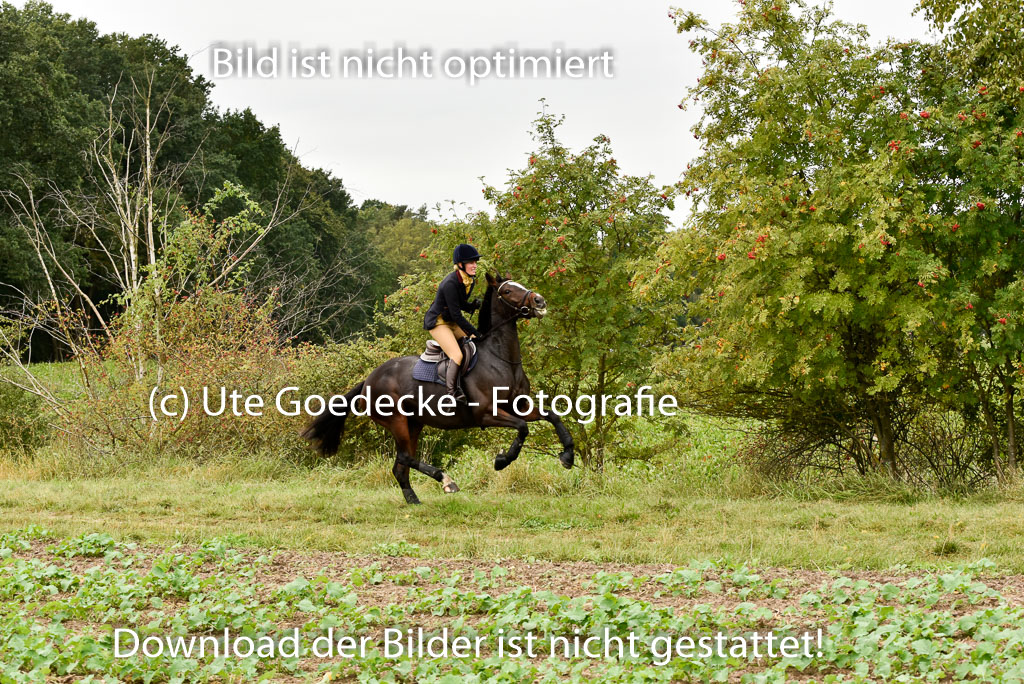 Jagd Mechtersen 01.10.2023 | 01102023 Jagd Mechtersen _062