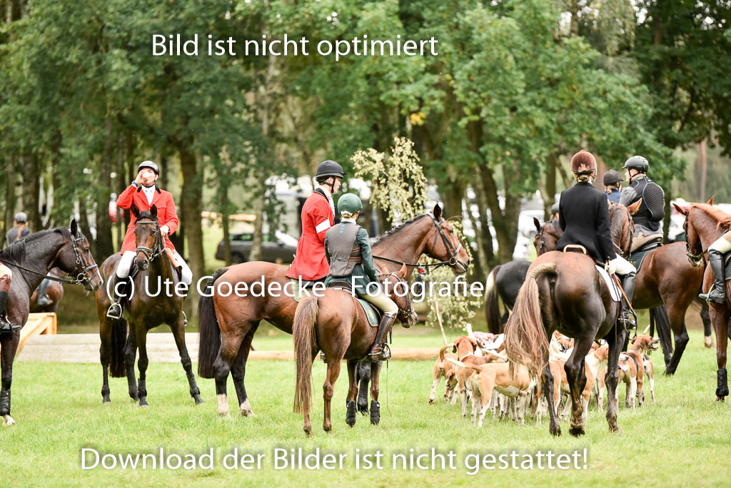 Jagd Mechtersen 01.10.2023 | 01102023 Jagd Mechtersen _078