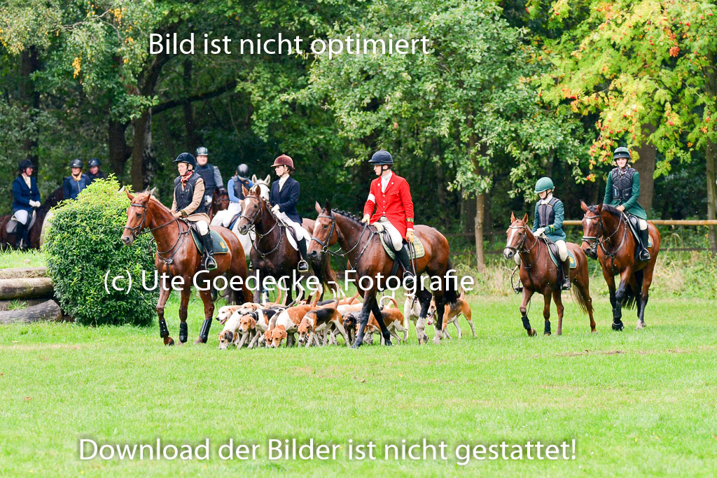 Jagd Mechtersen 01.10.2023 | 01102023 Jagd Mechtersen _079 
