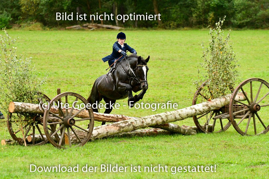 Jagd Mechtersen 01.10.2023 | 01102023 Jagd Mechtersen _121