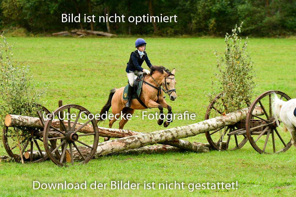 Jagd Mechtersen 01.10.2023 | 01102023 Jagd Mechtersen _130