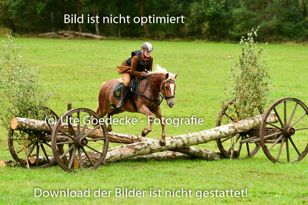 Jagd Mechtersen 01.10.2023 | 01102023 Jagd Mechtersen _133