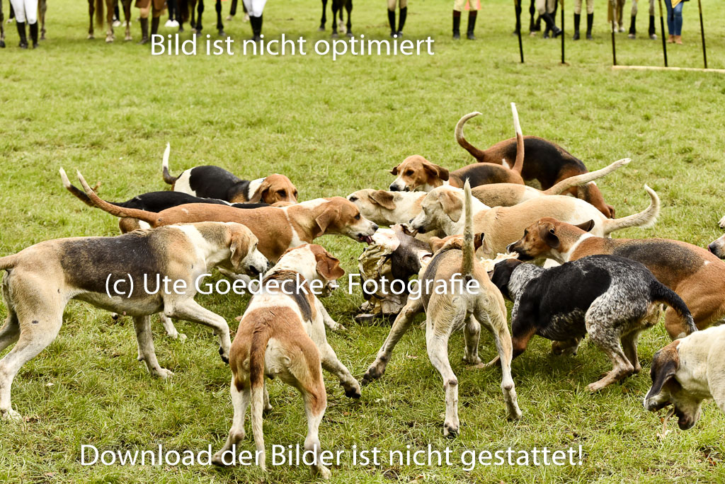 Jagd Mechtersen 01.10.2023 | 01102023 Jagd Mechtersen _159