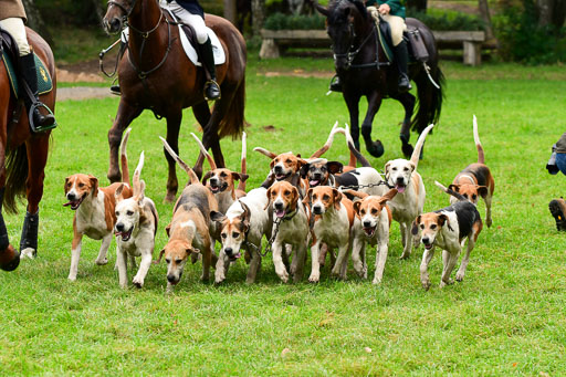 Jagd Mechtersen 01.10.2023 | 01102023 Jagd Mechtersen _025 