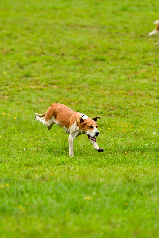 Jagd Mechtersen 01.10.2023 | 01102023 Jagd Mechtersen _102 