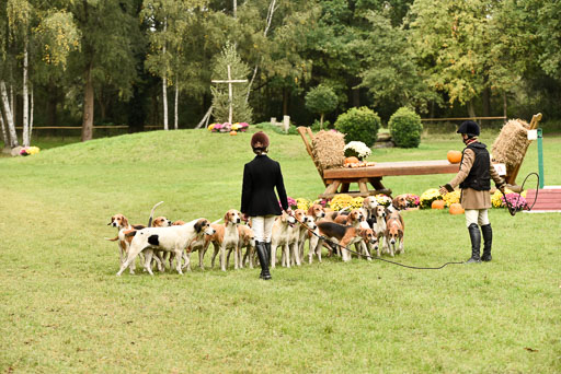 Jagd Mechtersen 01.10.2023 | 01102023 Jagd Mechtersen _153 