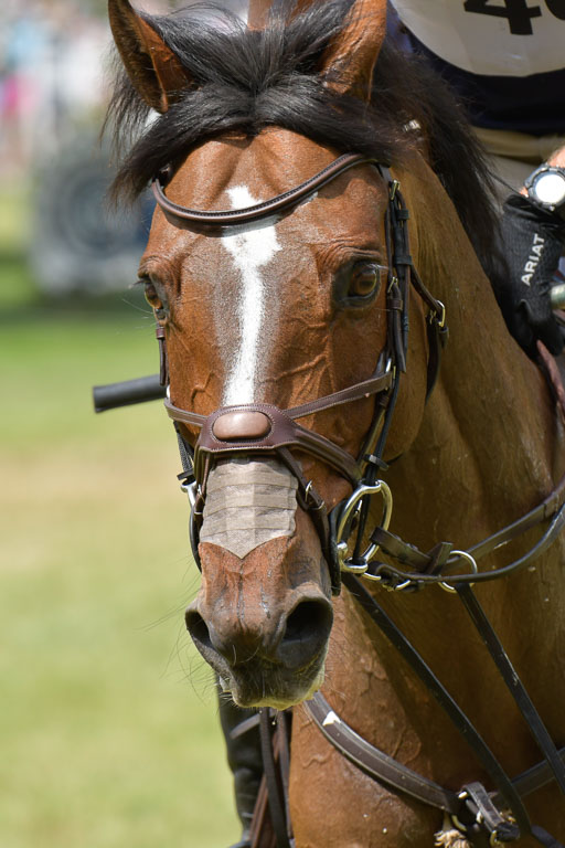 Longines Luhmühlen Horse Trails  CCI5  2023 | LLHT 2023 - XC 5 _22 