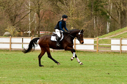 Luhmühlen GLP A  29.3.2023 | 29032023 GLP  A _453 