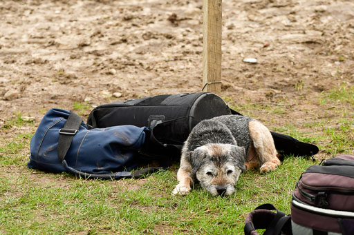 Luhmühlen GLP A  29.3.2023 | 29032023 GLP  A _497 