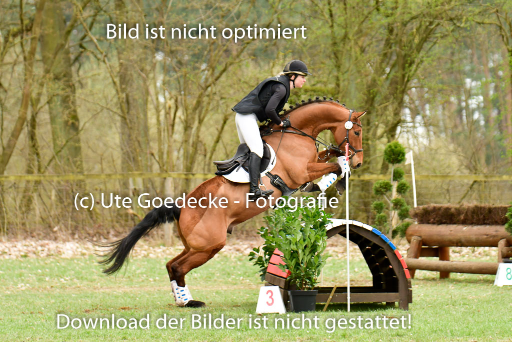 Luhmühlen GLP L 29.3.2023 | 29032023 GLP L_135 