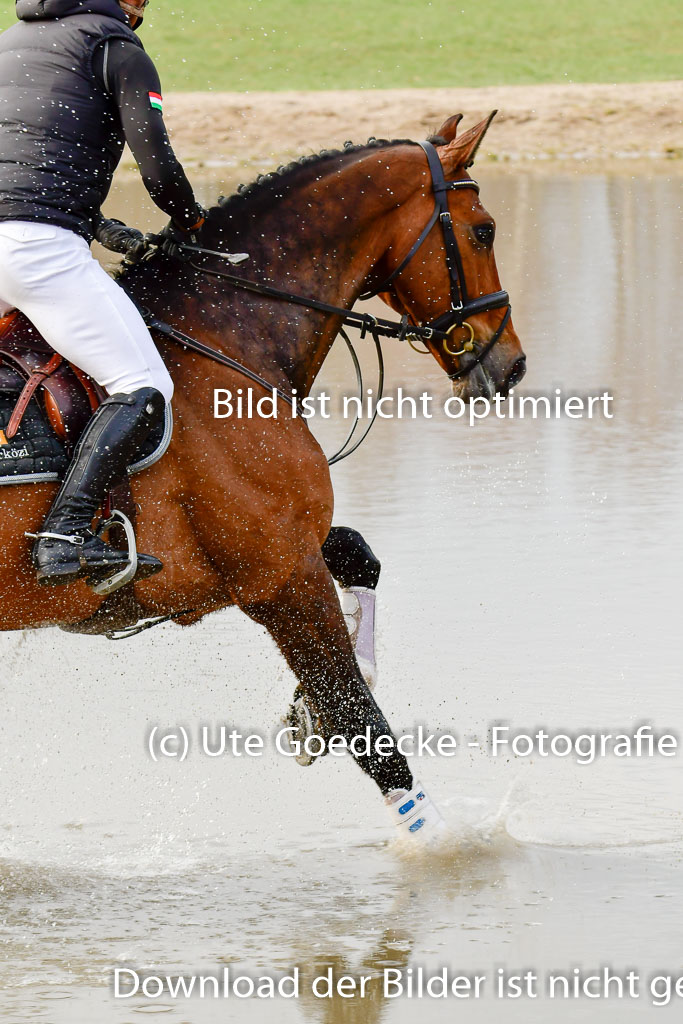 Luhmühlen GLP L 29.3.2023 | 29032023 GLP L_423 