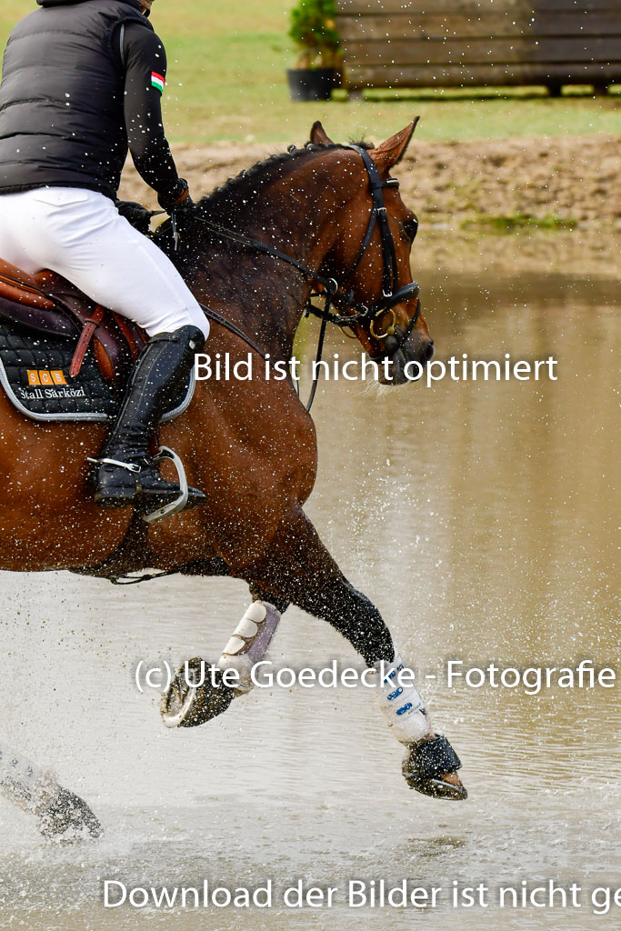 Luhmühlen GLP L 29.3.2023 | 29032023 GLP L_424 