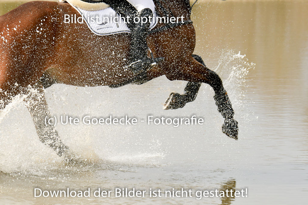 Luhmühlen GLP L 29.3.2023 | 29032023 GLP L_436 