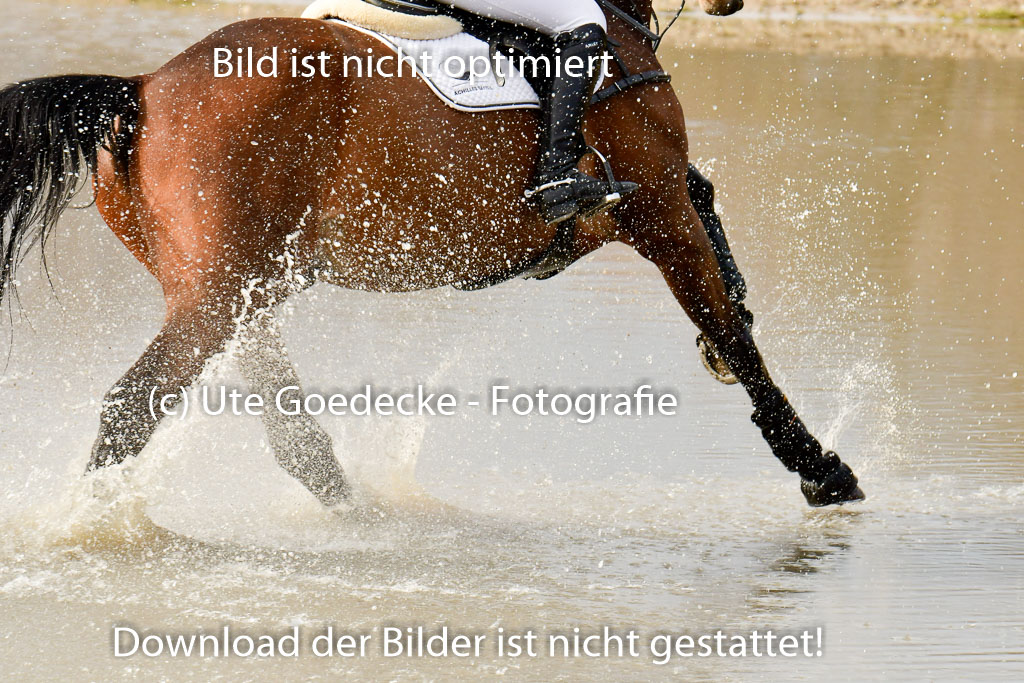 Luhmühlen GLP L 29.3.2023 | 29032023 GLP L_440 