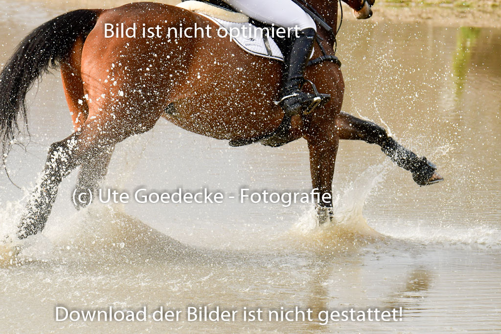 Luhmühlen GLP L 29.3.2023 | 29032023 GLP L_441 