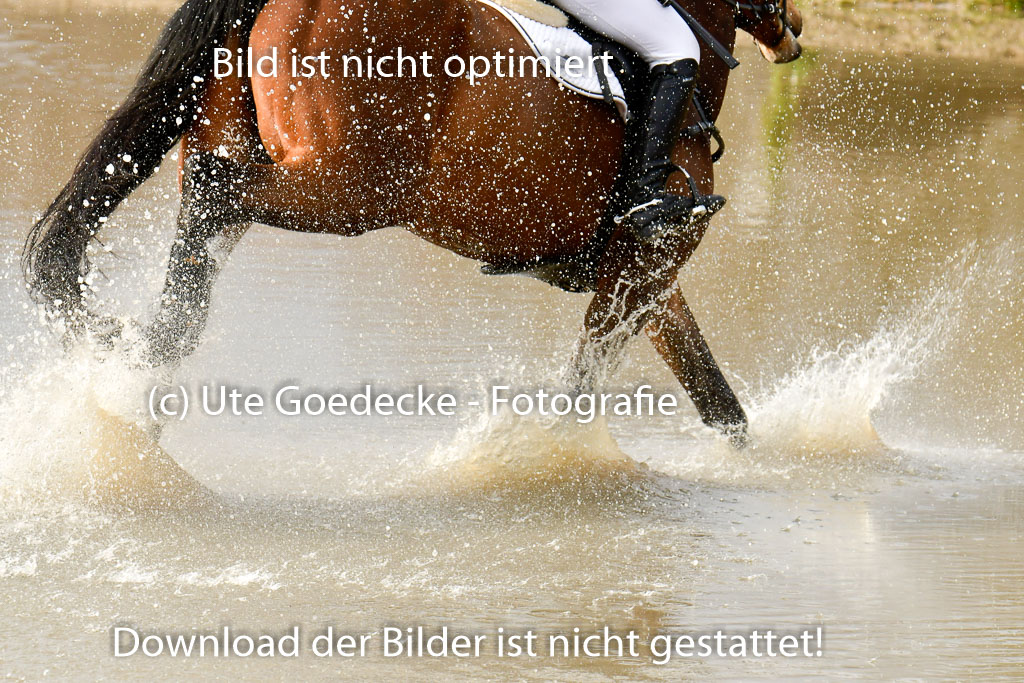 Luhmühlen GLP L 29.3.2023 | 29032023 GLP L_442 