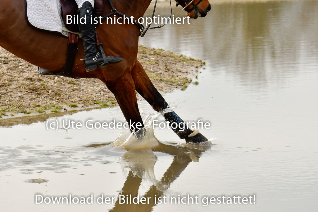 Luhmühlen GLP L 29.3.2023 | 29032023 GLP L_451 