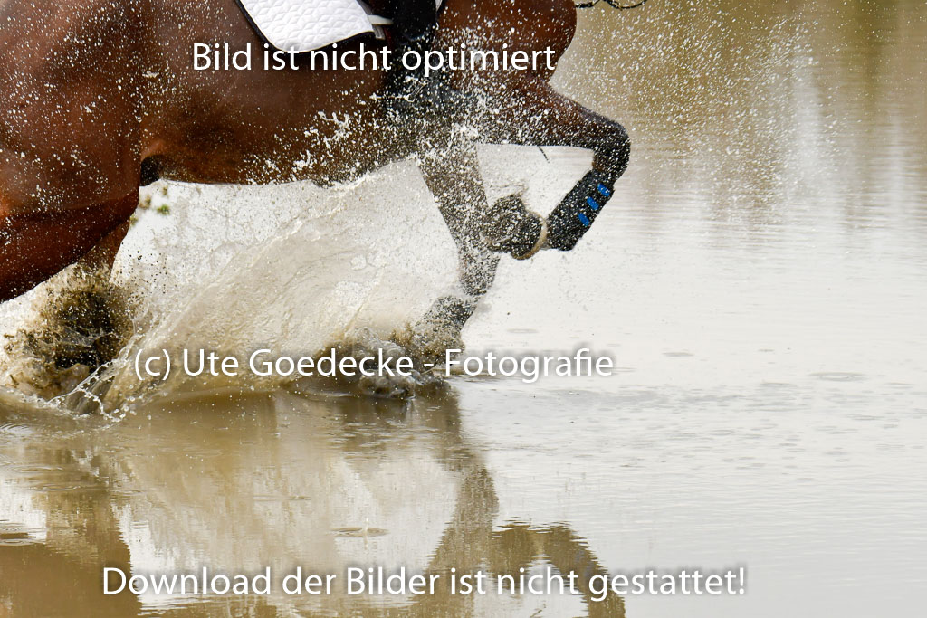 Luhmühlen GLP L 29.3.2023 | 29032023 GLP L_453 