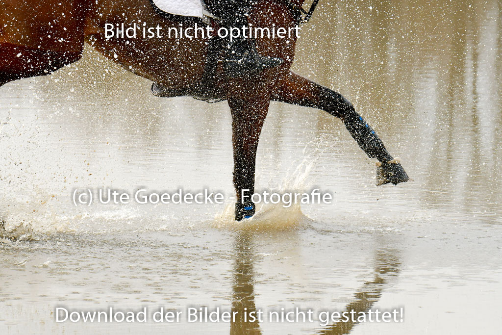 Luhmühlen GLP L 29.3.2023 | 29032023 GLP L_454 