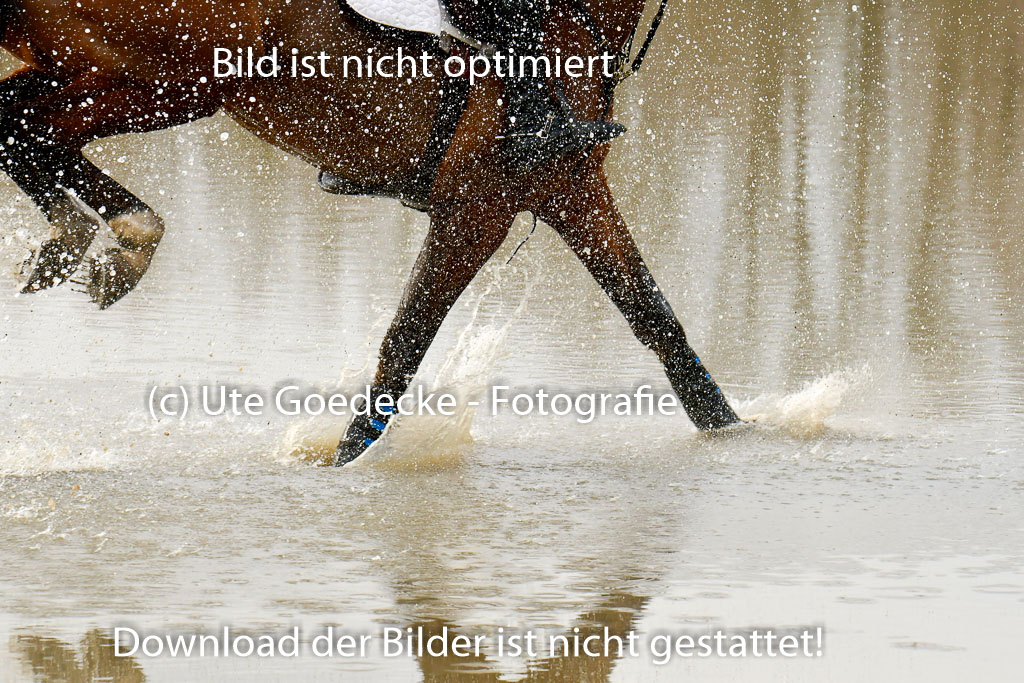 Luhmühlen GLP L 29.3.2023 | 29032023 GLP L_455 