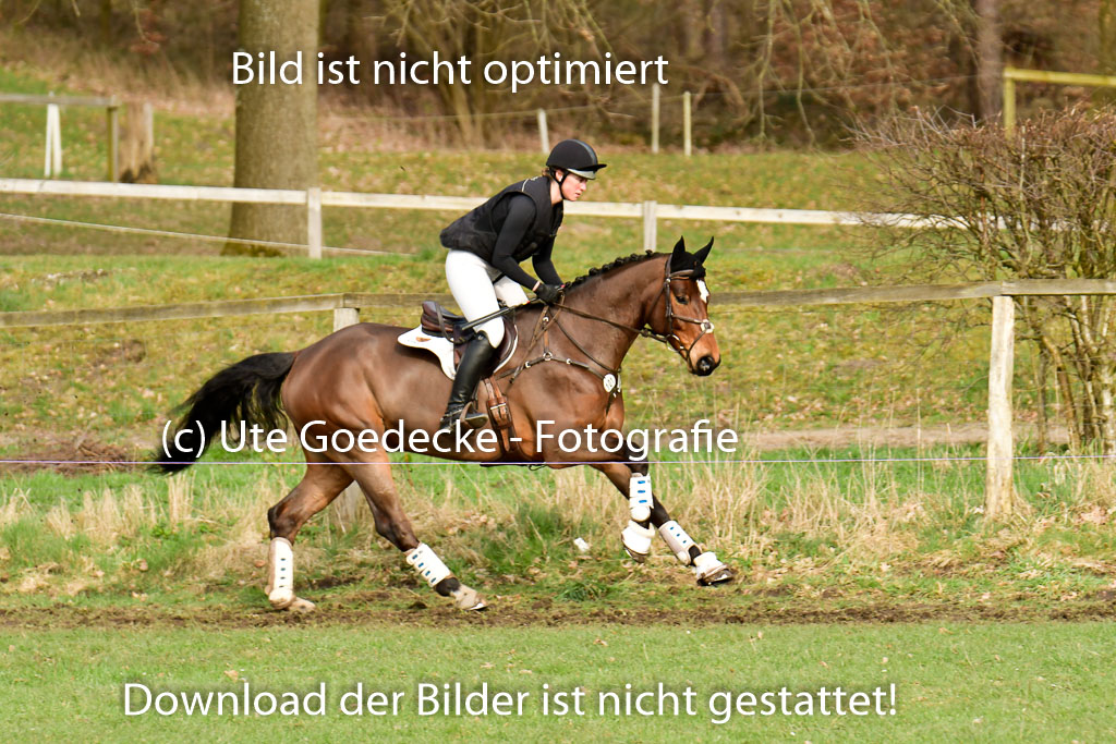 Luhmühlen GLP L 29.3.2023 | 29032023 GLP L_460 