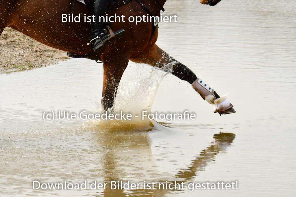 Luhmühlen GLP L 29.3.2023 | 29032023 GLP L_470 