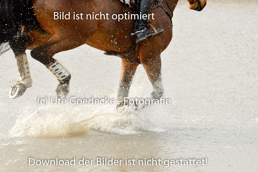 Luhmühlen GLP L 29.3.2023 | 29032023 GLP L_472 