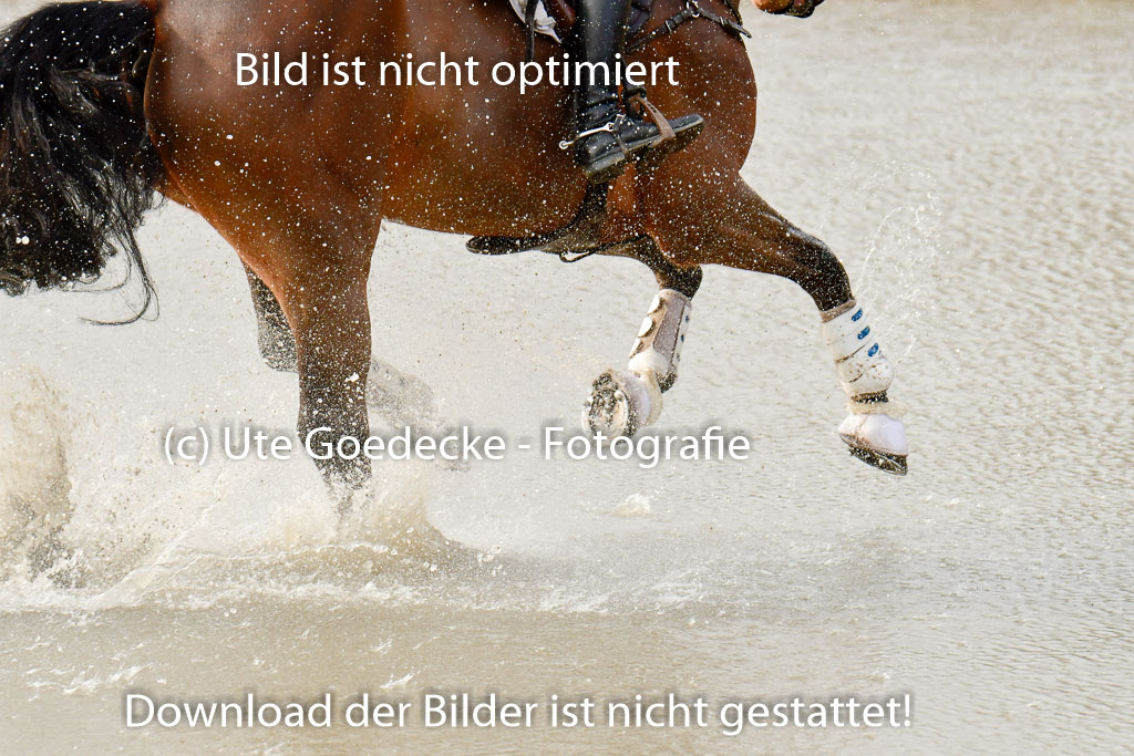 Luhmühlen GLP L 29.3.2023 | 29032023 GLP L_474 