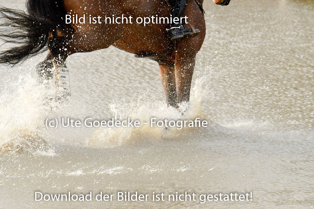 Luhmühlen GLP L 29.3.2023 | 29032023 GLP L_476 